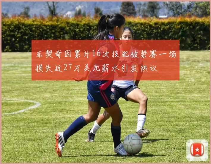 东契奇因累计16次技犯被禁赛一场损失近27万美元薪水引发热议