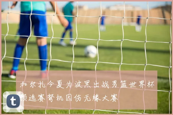加尔扎今夏为波黑出战男篮世界杯预选赛弩机因伤无缘大赛